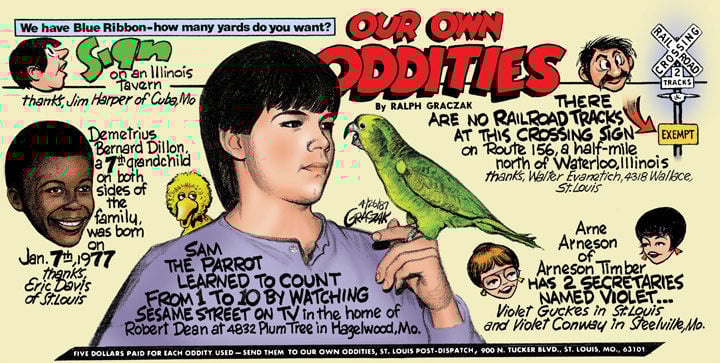 Our Own Oddities